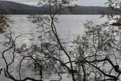 Lake Windermere Cumbria Uk